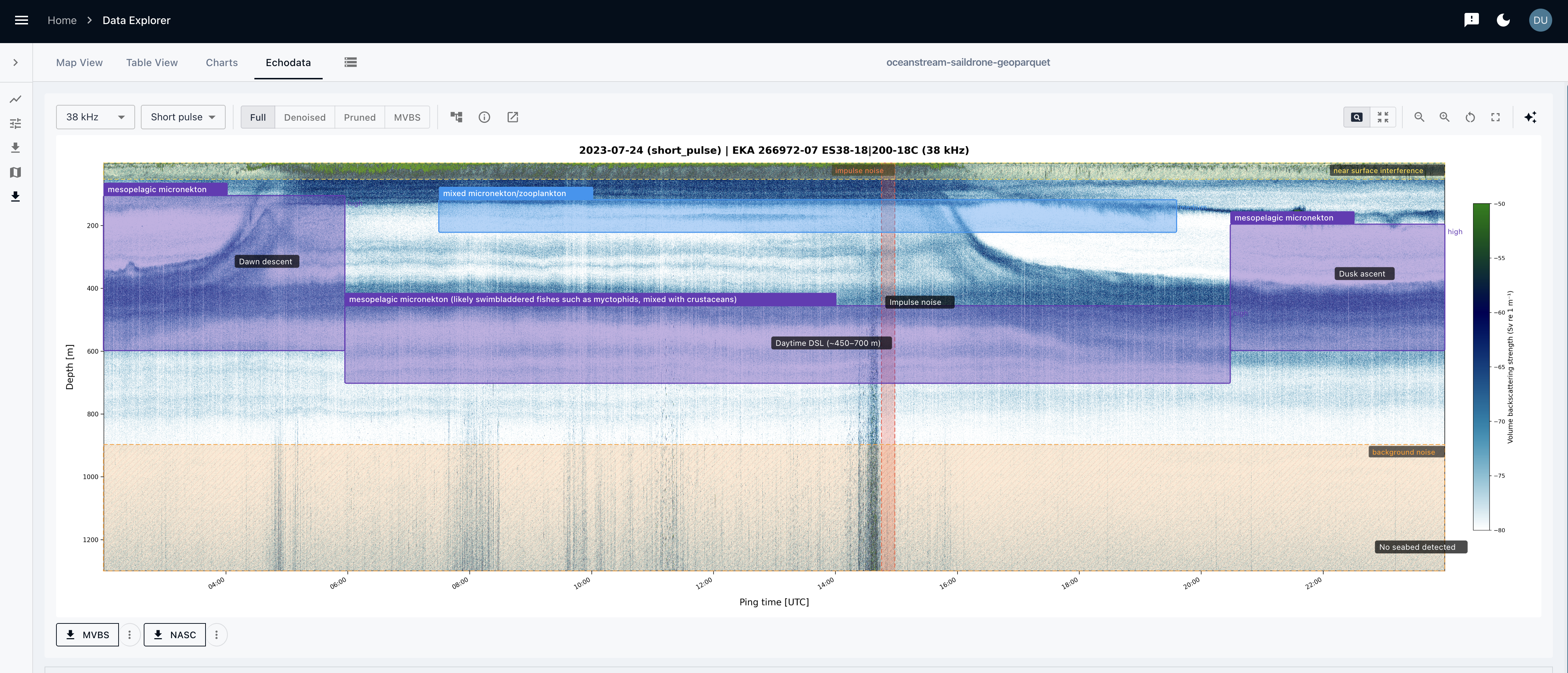 Echogram with annotations